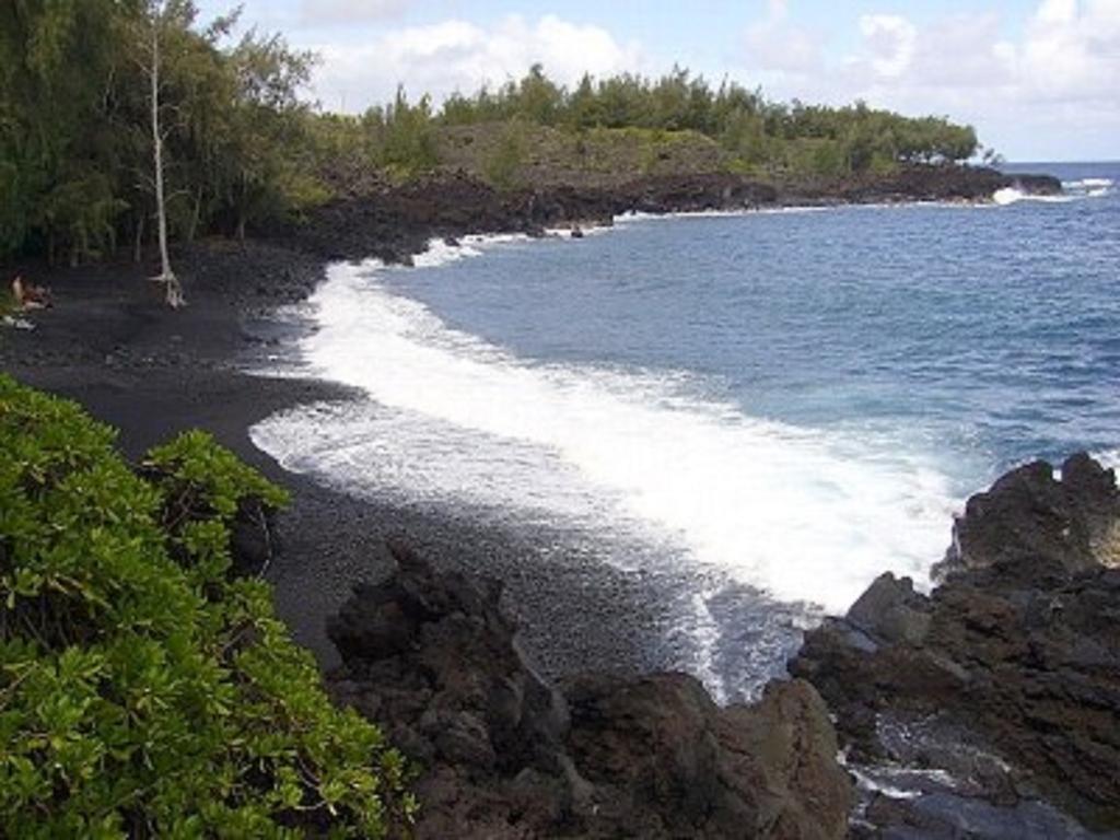 Coconut Palms Vacation Rental Near Lava Fields And Beaches Kehena Luaran gambar