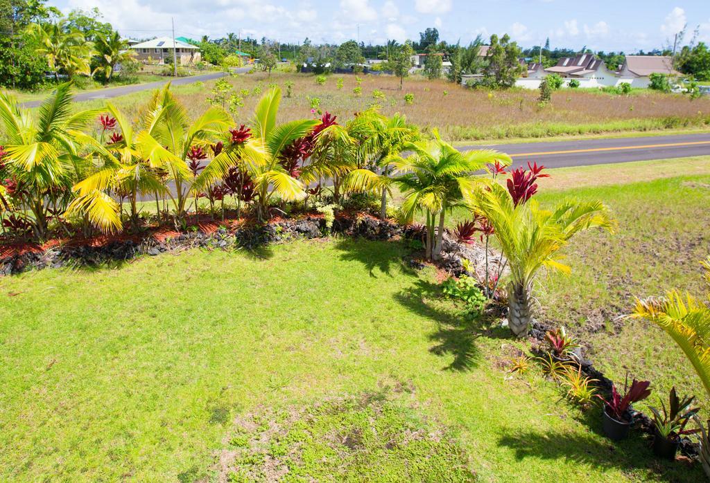 Coconut Palms Vacation Rental Near Lava Fields And Beaches Kehena Luaran gambar