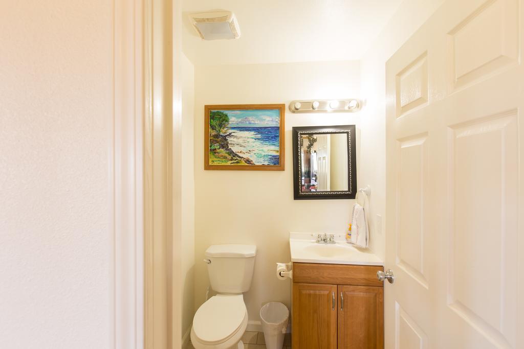 Coconut Palms Vacation Rental Near Lava Fields And Beaches Kehena Luaran gambar