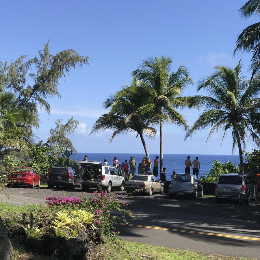 Coconut Palms Vacation Rental Near Lava Fields And Beaches Kehena Luaran gambar