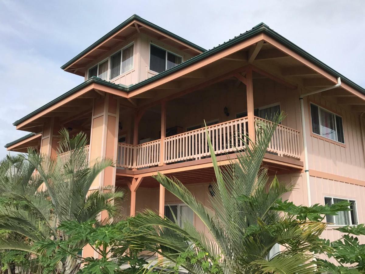 Coconut Palms Vacation Rental Near Lava Fields And Beaches Kehena Luaran gambar