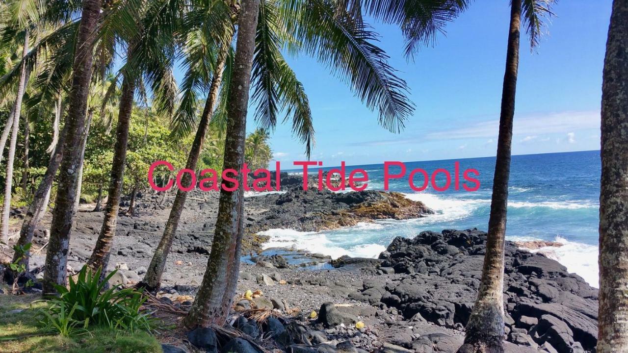 Coconut Palms Vacation Rental Near Lava Fields And Beaches Kehena Luaran gambar